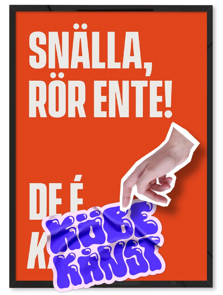 RÖR ENTE - DE É KÅNST