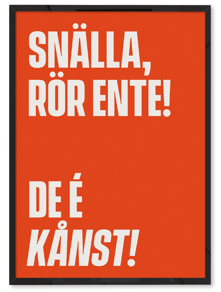 RÖR ENTE - DE É KÅNST